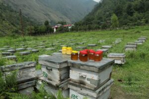 Fishing in Tirthan Valley