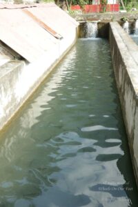 Fishing in Tirthan Valley