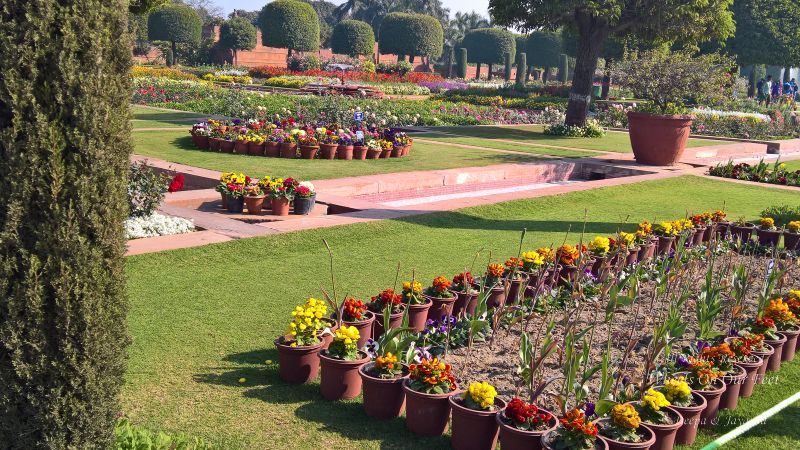 The Mughal Gardens, Rashtrapati Bhavan in Delhi, India