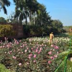 The Mughal Gardens, Rashtrapati Bhavan in Delhi, India
