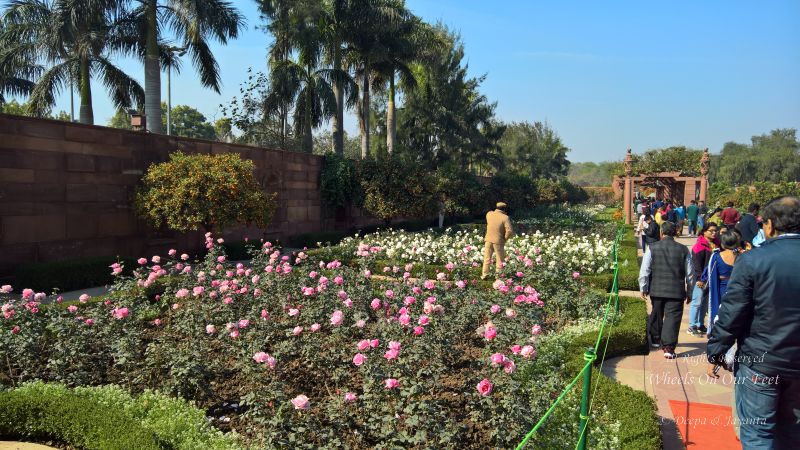 The Mughal Gardens, Rashtrapati Bhavan in Delhi, India