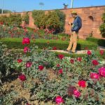 The Mughal Gardens, Rashtrapati Bhavan in Delhi, India