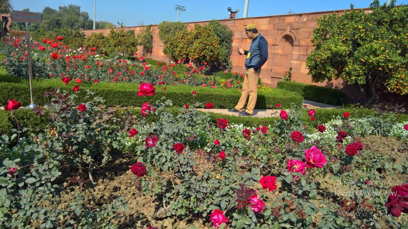 The Mughal Gardens, Rashtrapati Bhavan in Delhi, India
