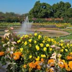 The Mughal Gardens, Rashtrapati Bhavan in Delhi, India