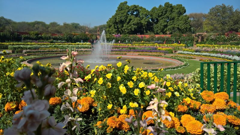 The Mughal Gardens, Rashtrapati Bhavan in Delhi, India