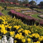 The Mughal Gardens, Rashtrapati Bhavan in Delhi, India