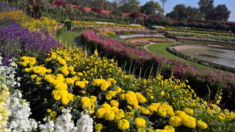 The Mughal Gardens, Rashtrapati Bhavan in Delhi, India