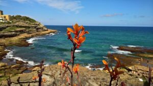 Beach-hopping in Sydney -- Bondi Beach