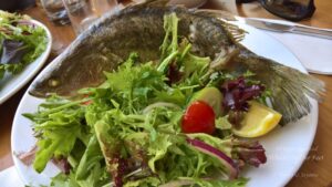 Beach-hopping in Sydney -- Manly Beach