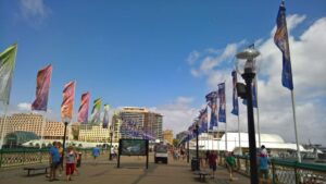 Sight-seeing in Sydney