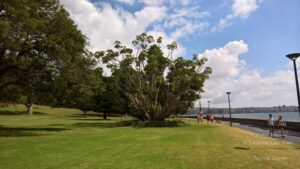 Sight-seeing in Sydney