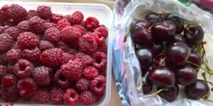 Food in Australia -- berries