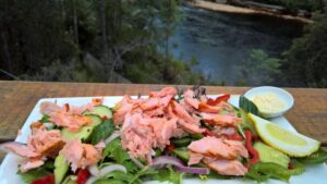 Sight-seeing around Hobart, Tasmania, Australia