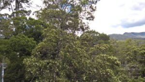 Sight-seeing around Hobart, Tasmania, Australia