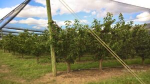 Sight-seeing around Hobart, Tasmania, Australia