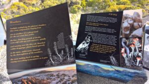 Sight-seeing around Hobart, Tasmania, Australia