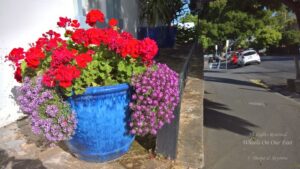 Sight-seeing in Hobart