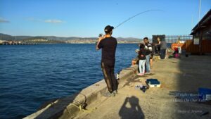 Sight-seeing in Hobart