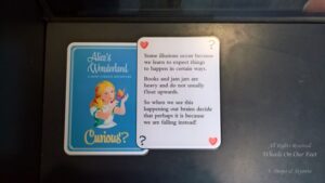 Queen Victoria Museum and Art Gallery, Launceston (Tasmania, Australia)