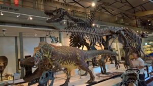 Queen Victoria Museum and Art Gallery, Launceston (Tasmania, Australia)