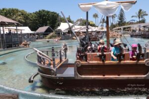 Sea World Tour in Gold Coast, Queensland (Australia) (14)