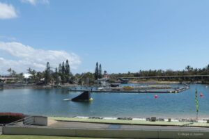 Sea World Tour in Gold Coast, Queensland (Australia) (14)