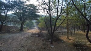 Weekend in Neemrana Fort Palace