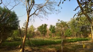 Weekend in Neemrana Fort Palace