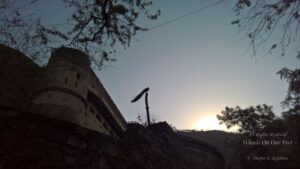 Weekend in Neemrana Fort Palace