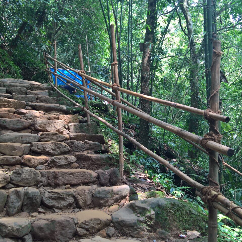 Day trip to Living Roots Bridge, Meghalaya