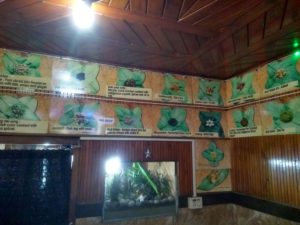 Trattoria -- Best Restaurants in Shillong