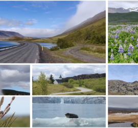10-day Iceland Itinerary
