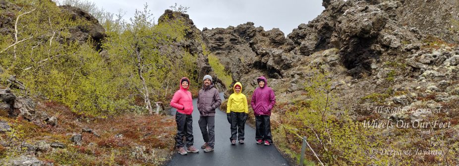 Iceland Roadtrip Day-6 Exploring Lake Myvatn's Diversity